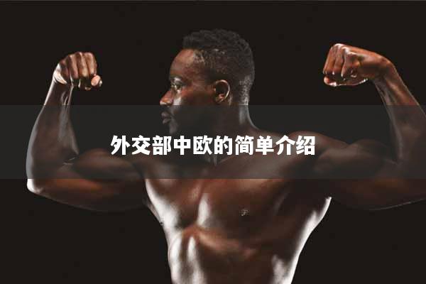 详细阅读:外交部中欧的简单介绍 外交部中欧的简单介绍