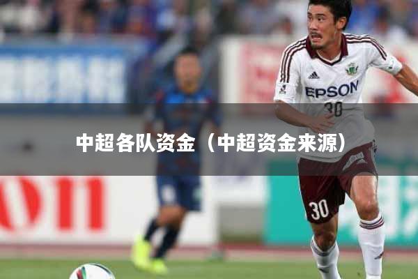 详细阅读:中超各队资金(中超资金来源) 中超各队资金(中超资金来源)