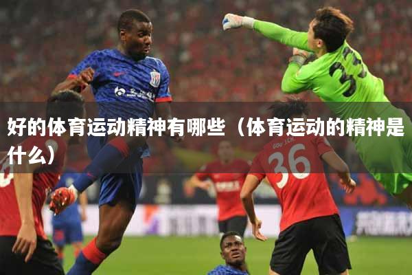 好的体育运动精神有哪些（体育运动的精神是什么）