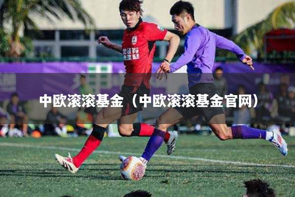 中欧滚滚基金（中欧滚滚基金官网）