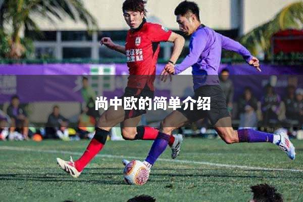 尚中欧的简单介绍
