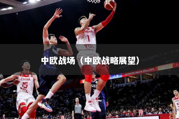 中欧战场（中欧战略展望）
