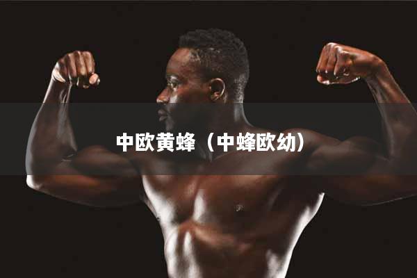 中欧黄蜂（中蜂欧幼）